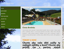 Tablet Screenshot of brnenka.net